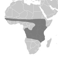 Common Waterbuck range